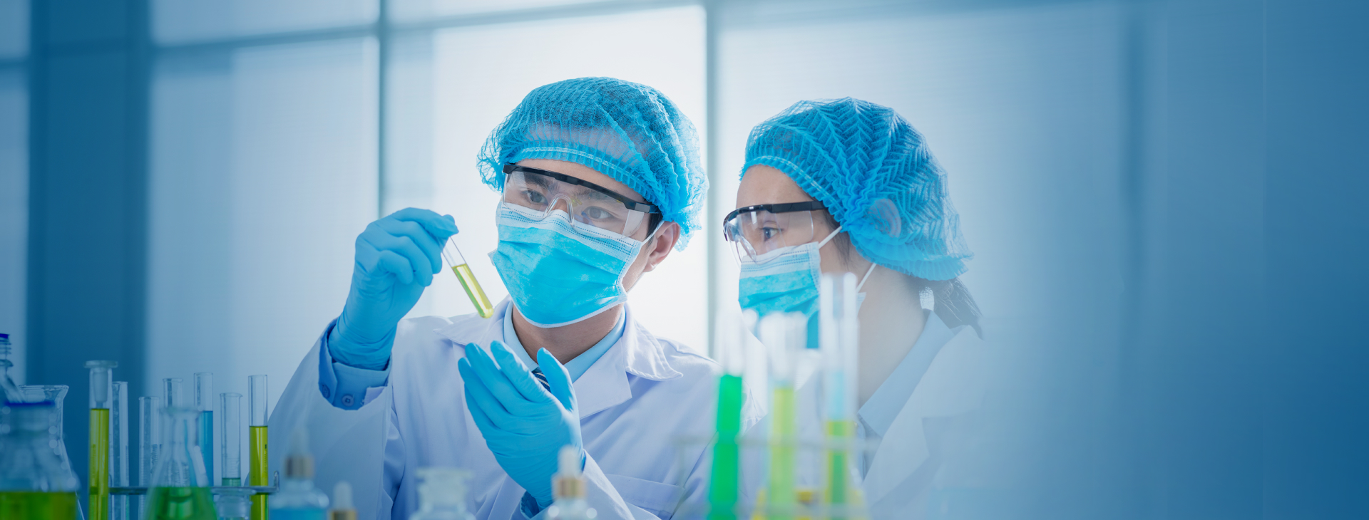 关于FH至尊集团