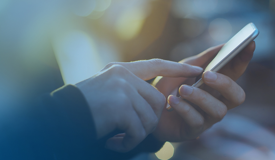 联系FH至尊集团